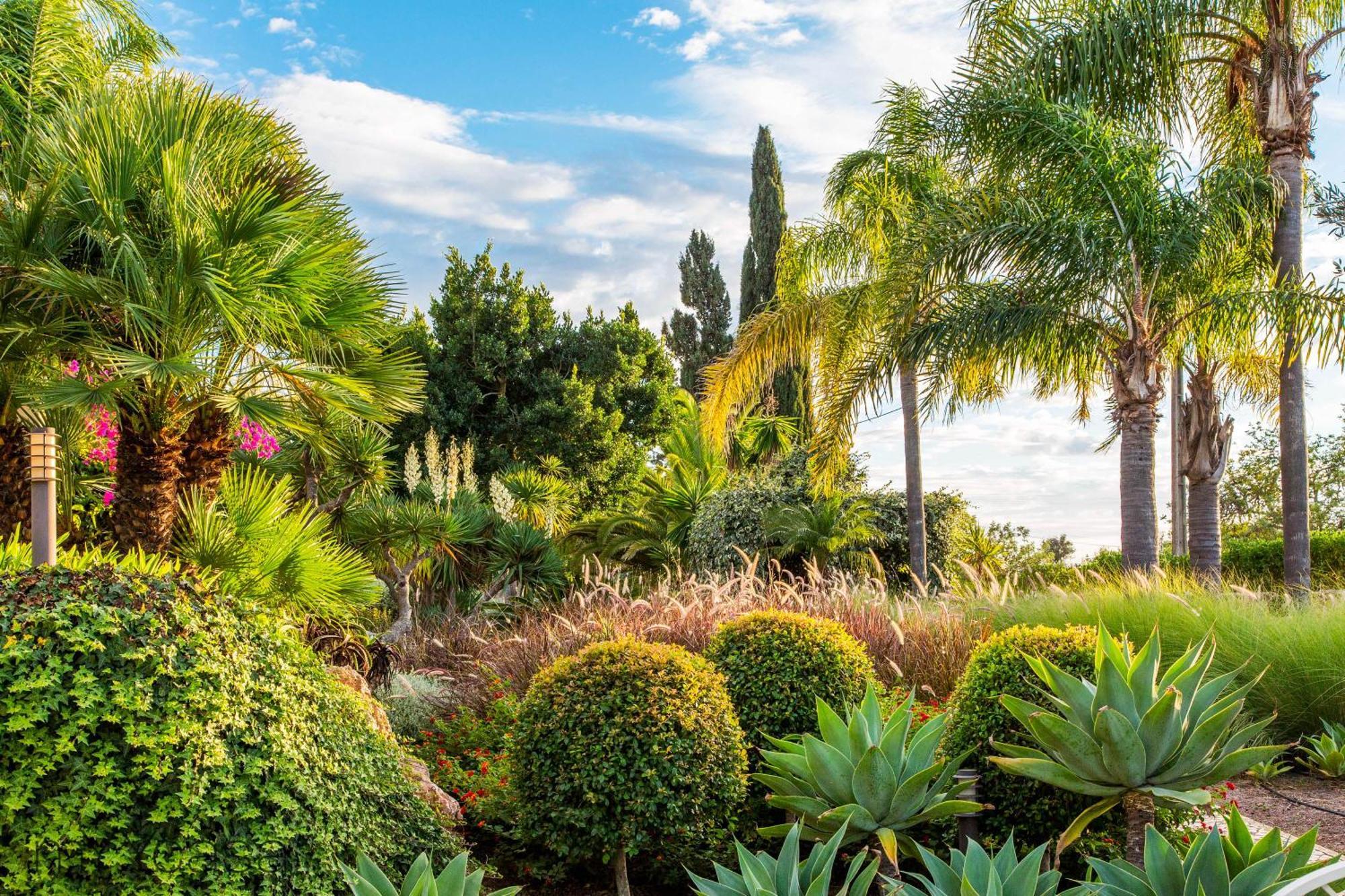 Vakantiehuis Quinta Azul - Gorgeous With Pool & Private Terrace