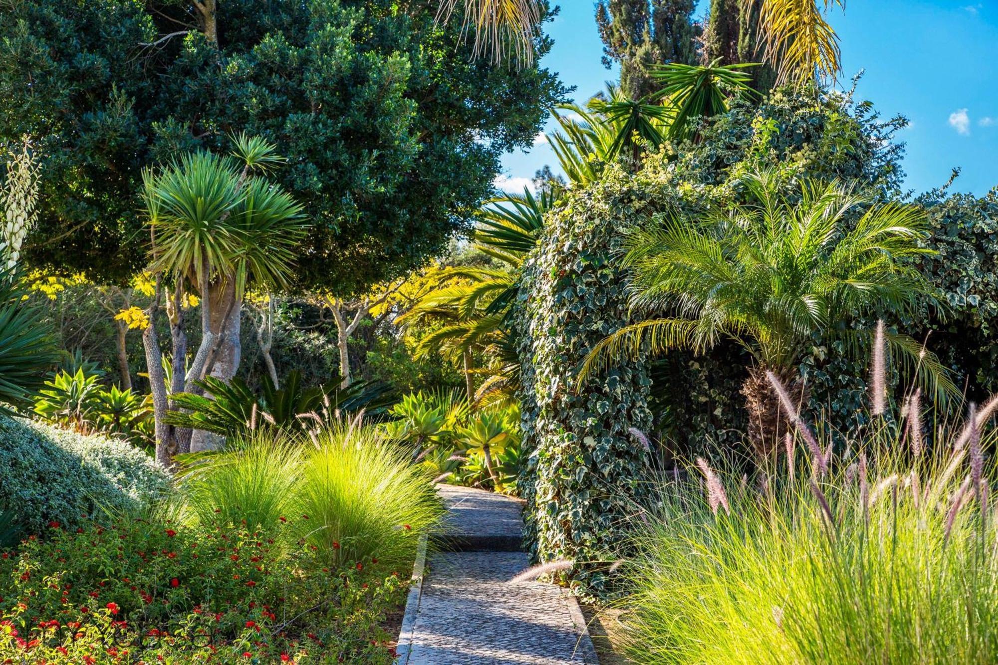 Vakantiehuis Quinta Azul - Gorgeous With Pool & Private Terrace